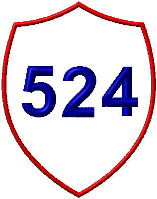 Chenille Letterman Jacket Odd Shape Patch P11500 - 4 My Jacket