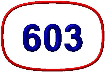 Chenille Letterman Jacket Odd Shape Patch P11500 - 4 My Jacket