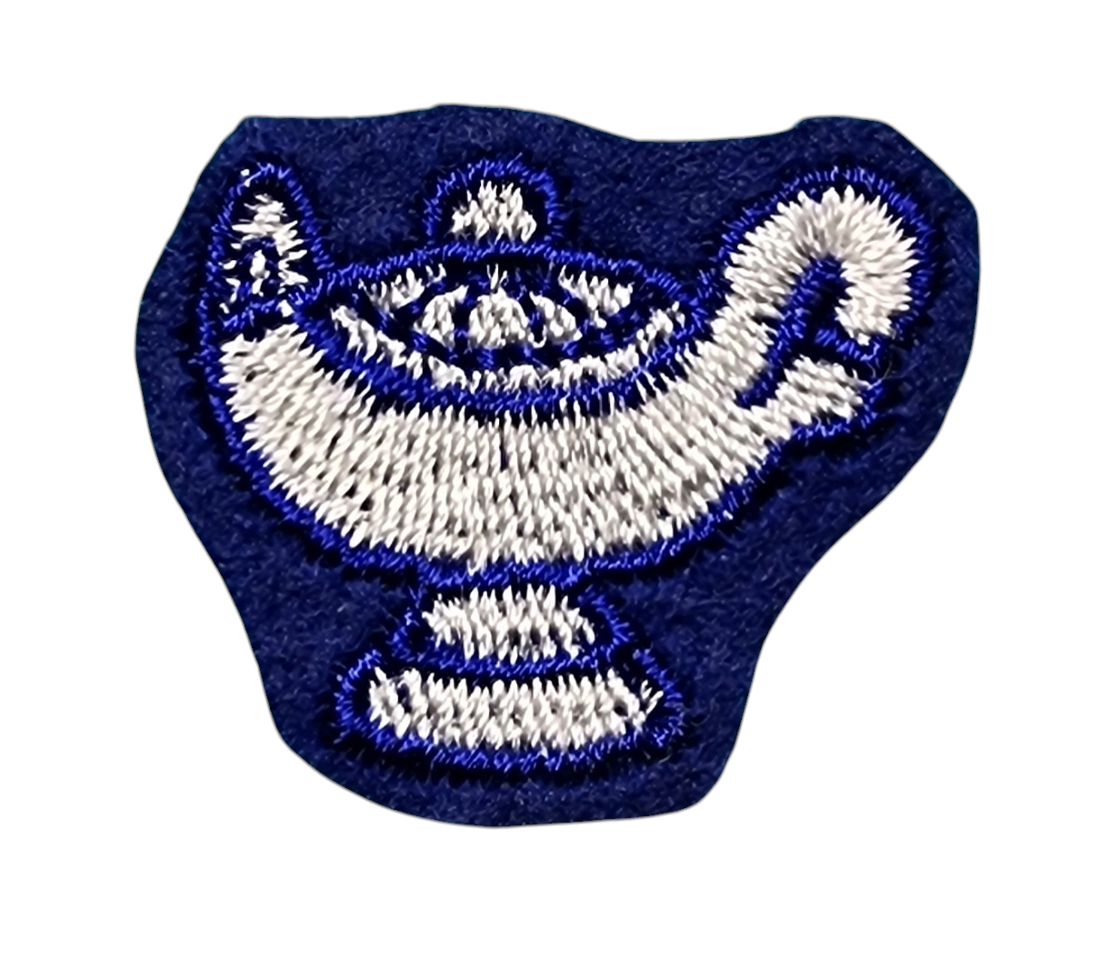 Letterman Jacket Academic Lamp Of Knowledge Insert