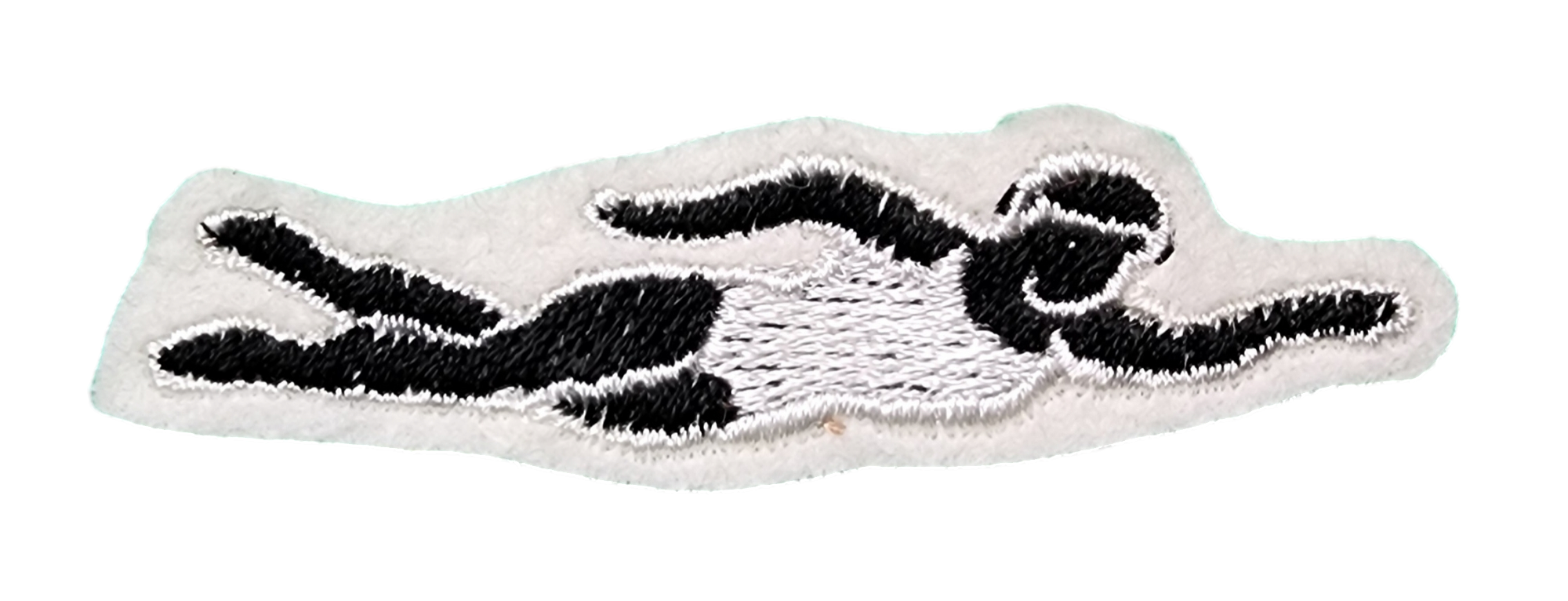 Letterman Jacket Female Swimmer Insert