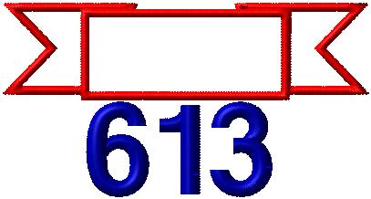 Chenille Letterman Jacket Odd Shape Patch P11500 - 4 My Jacket