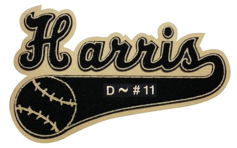 Script chenill patch with baseball, tail and insert