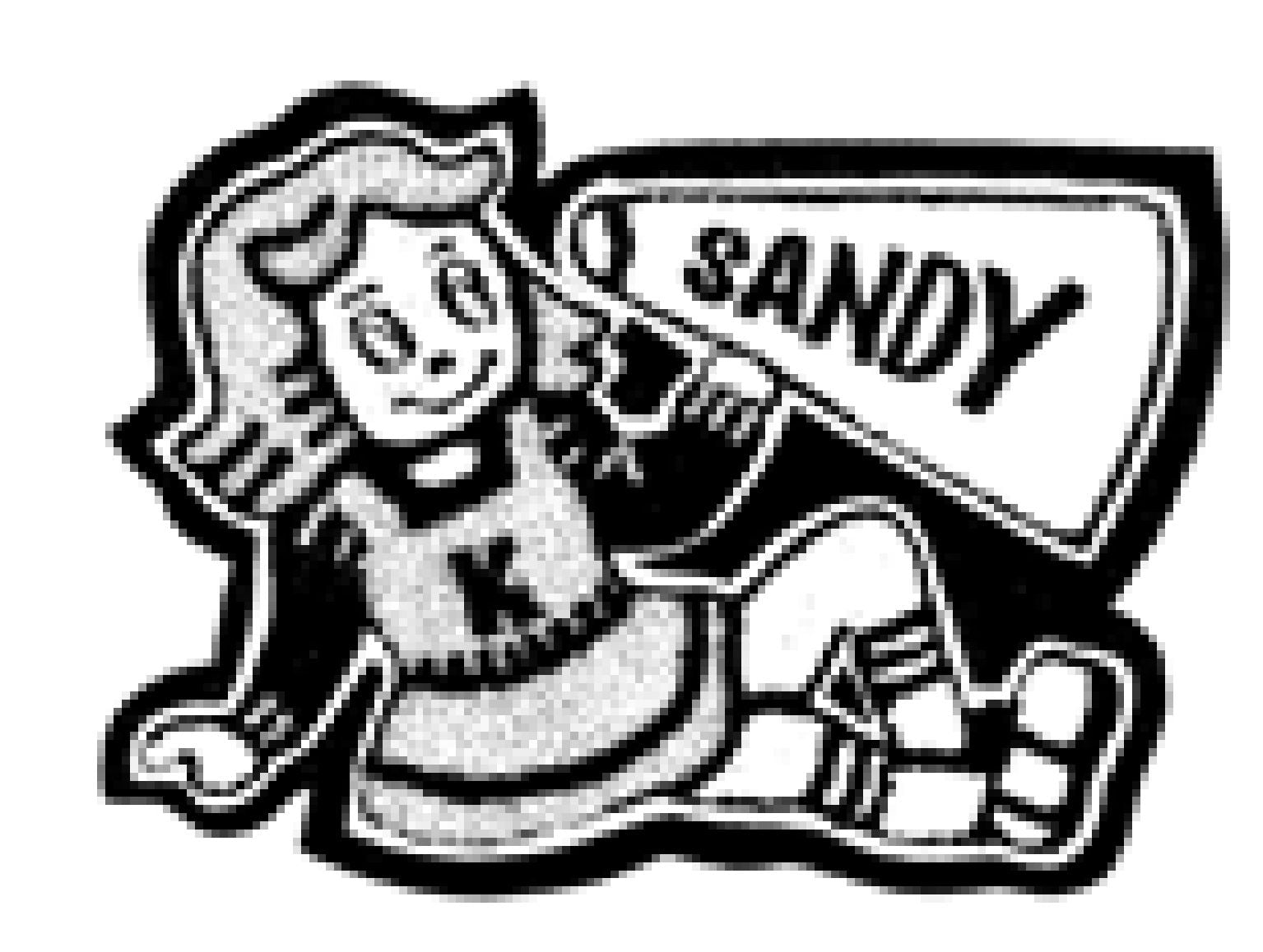 Chenille Letterman Jacket Cheerleader 9