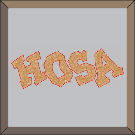 Chenille Crazy Block HOSA Letterman Jacket Patch